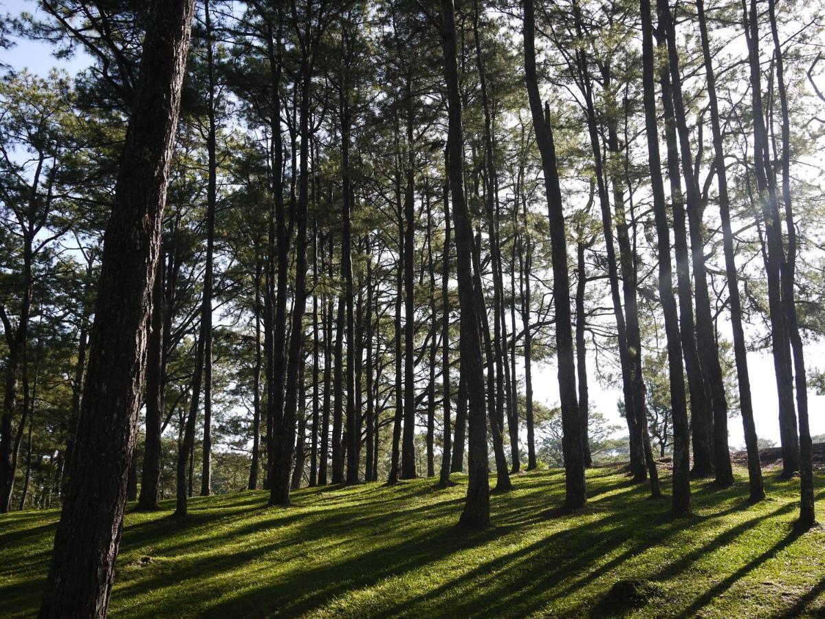 Azalea Residences Baguio Baguio City Exterior foto